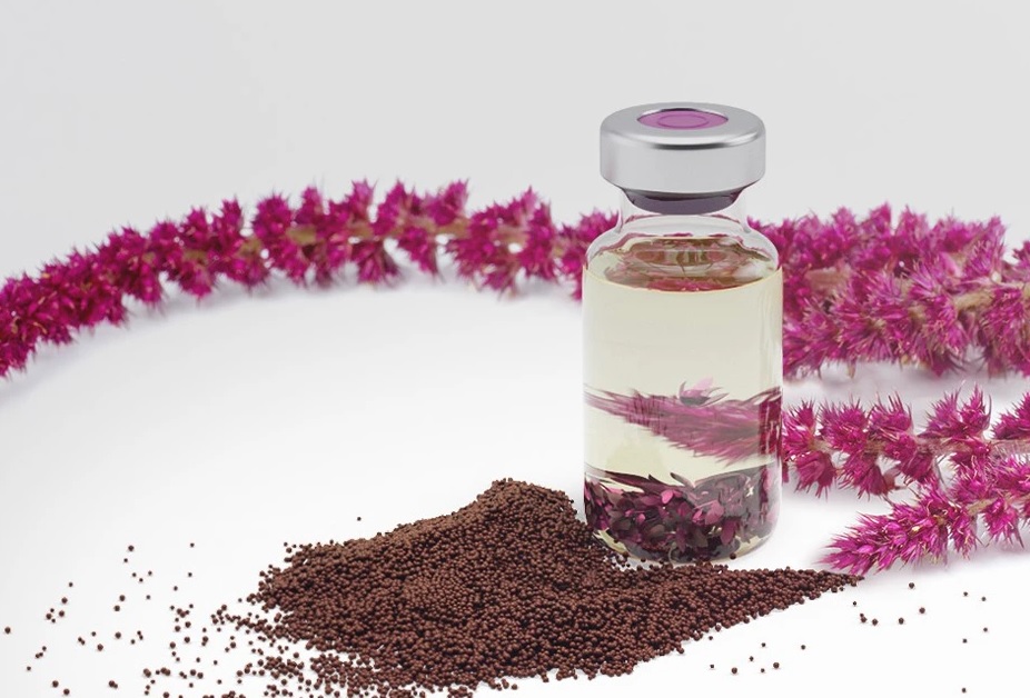 روغن آمارانت (تاج خروس) و اسکوالن